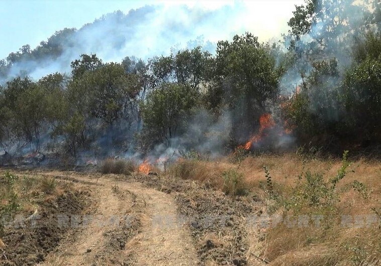 В Огузе произошел пожар